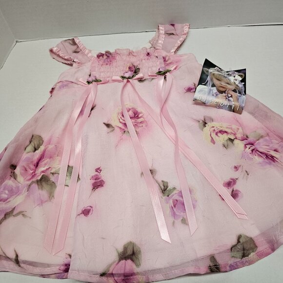 New Girls Biscotti Collezion Pink Roses Flowers Flowy Dress Sleeveles 12 Month 1